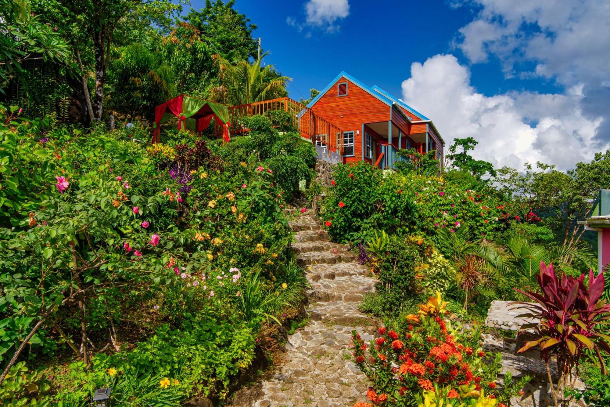 Tropical Paradise View Anse La Raye Extérieur photo